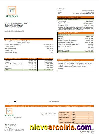 Egypt Alex Bank of Egypt bank mortgage statement